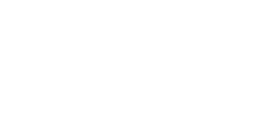 El Sewedy Digital